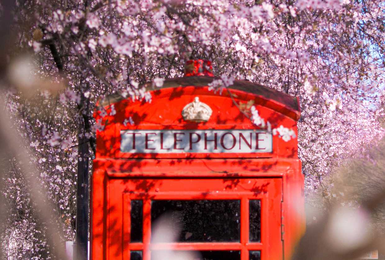 The ultimate London's spring guide